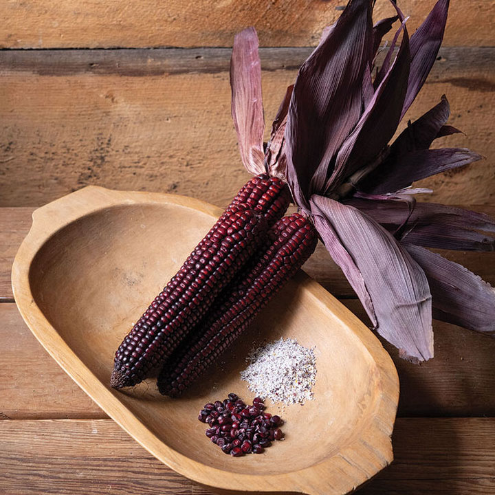 Indian Art Red Fire Corn